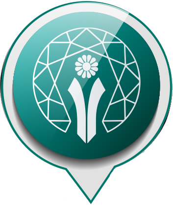 timeline icon